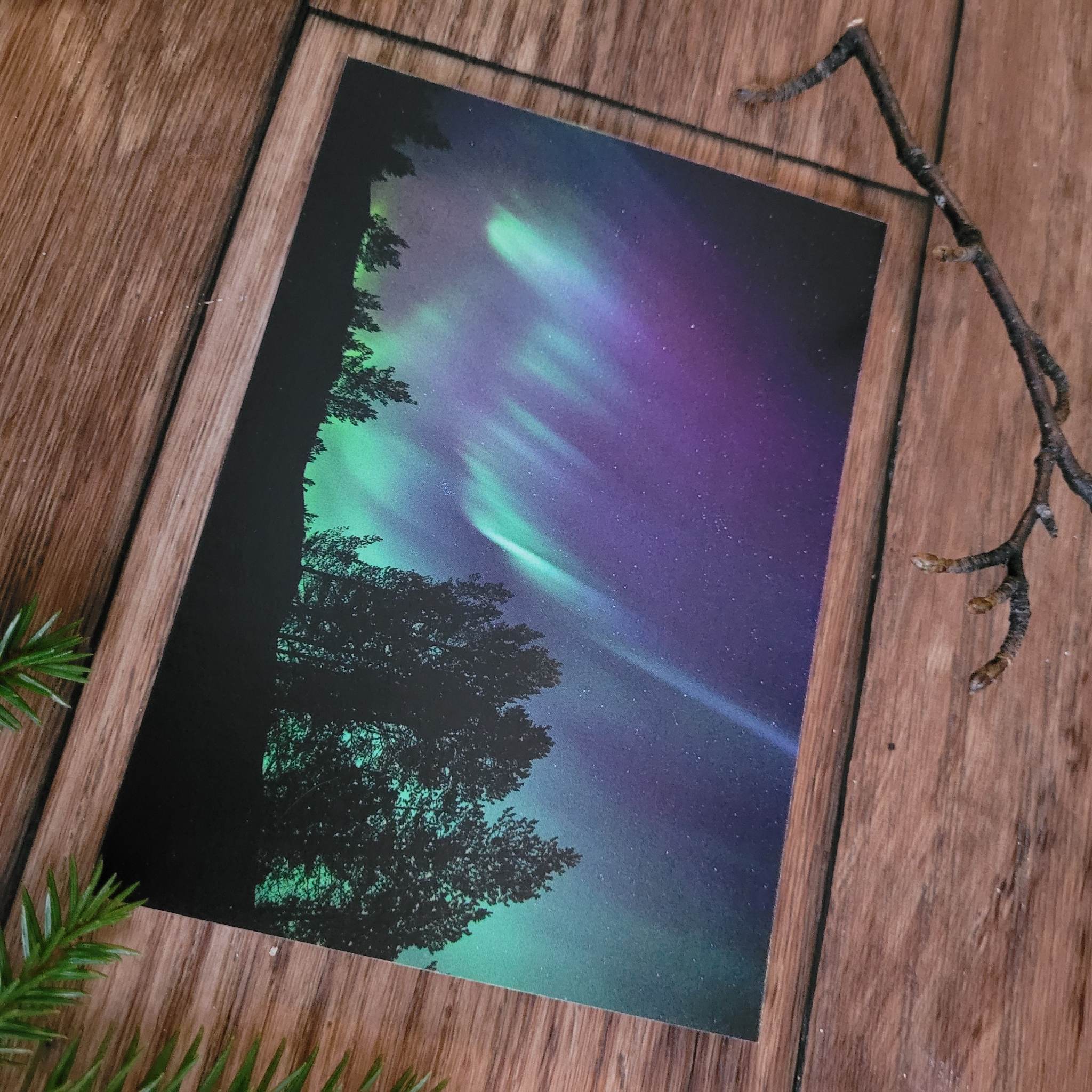 Nordlys - Silhuett av skog