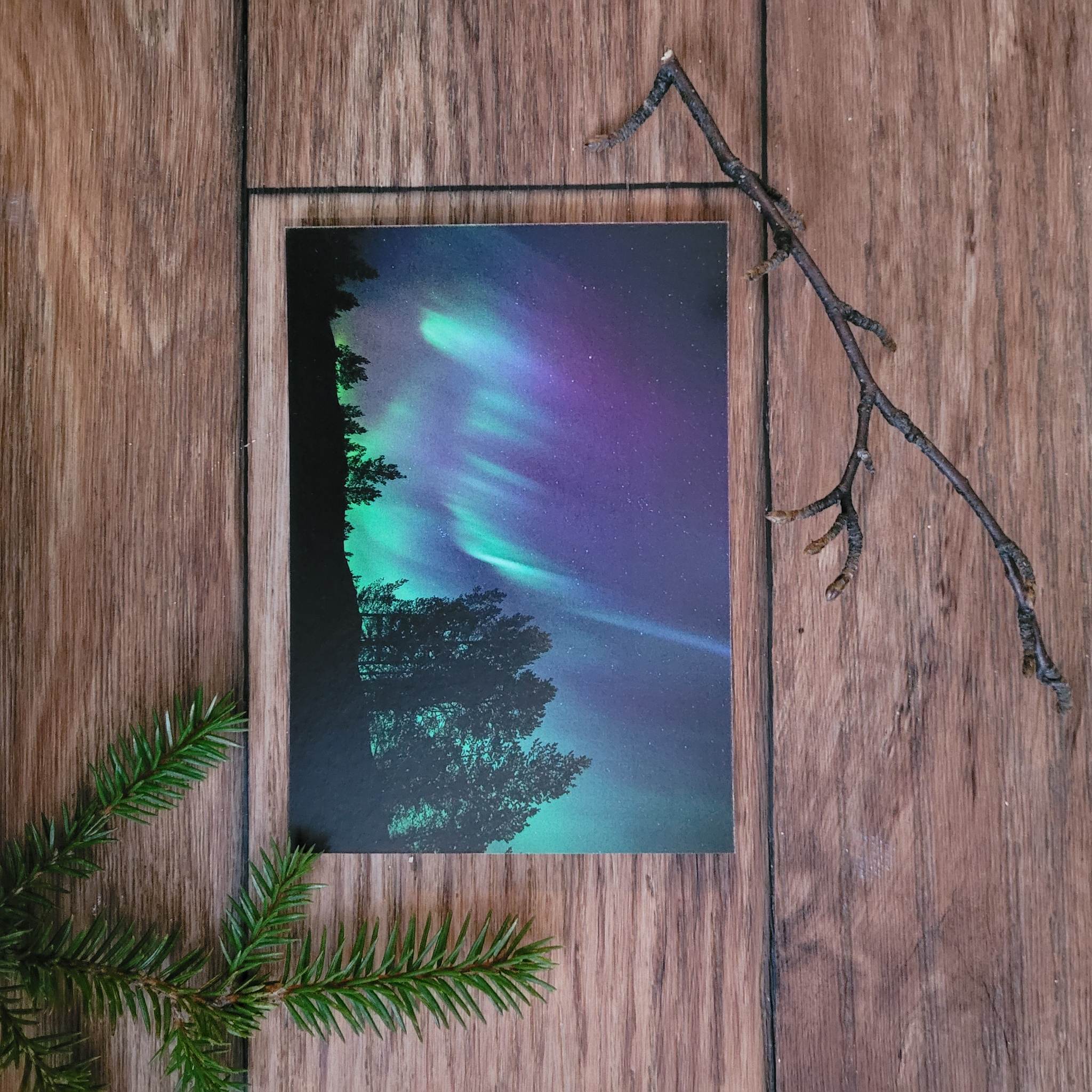 Nordlys - Silhuett av skog - 3
