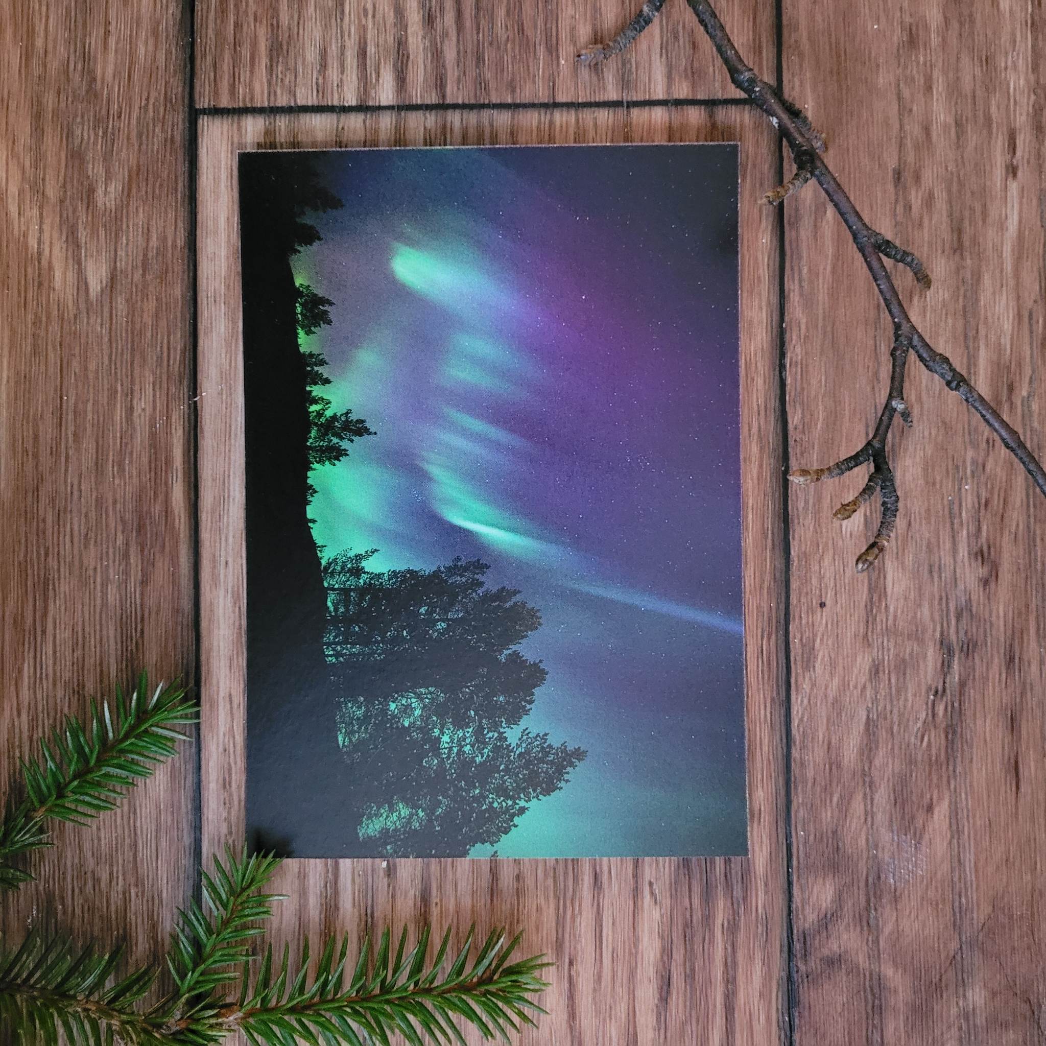 Nordlys - Silhuett av skog
