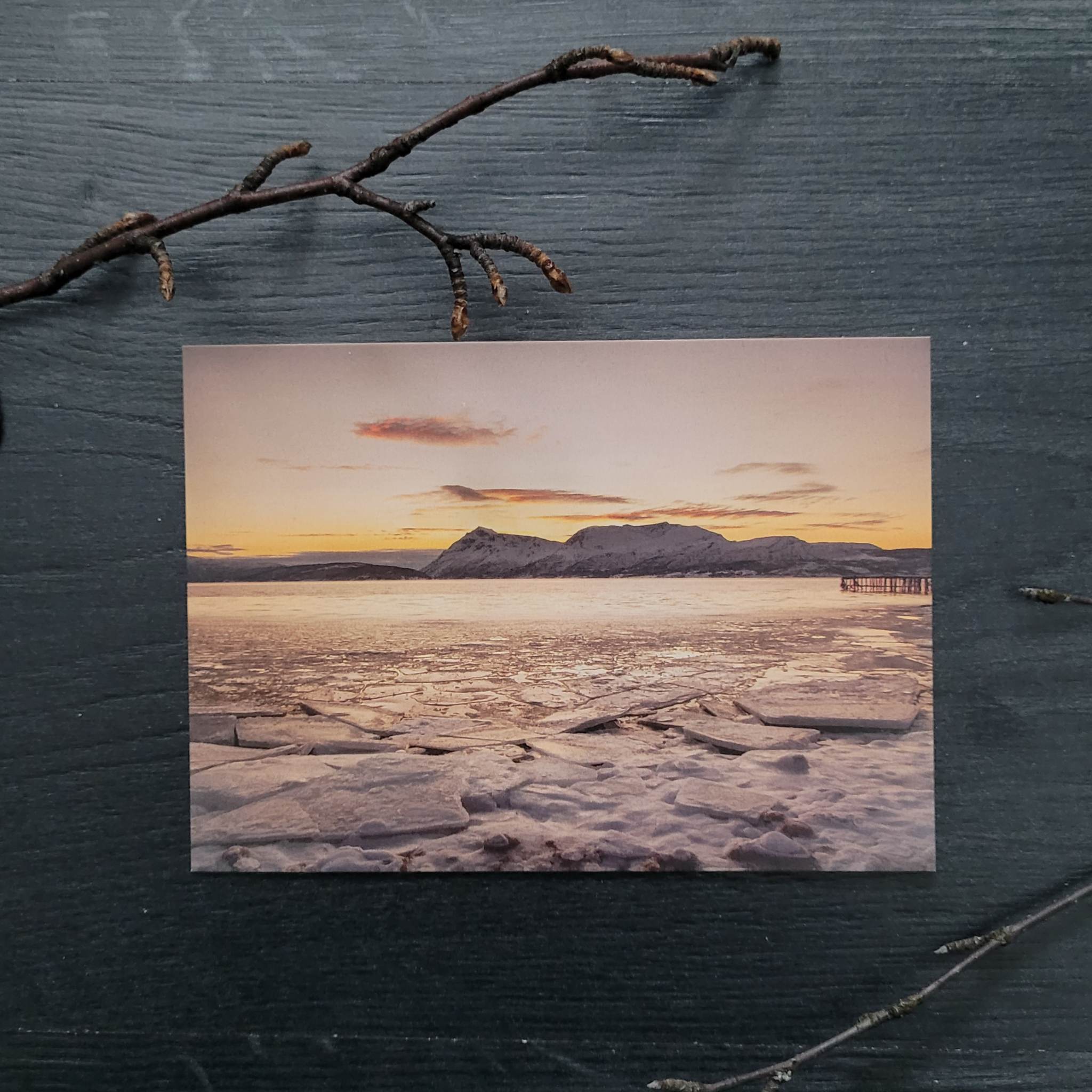 Islagt fjord på Mortenhals