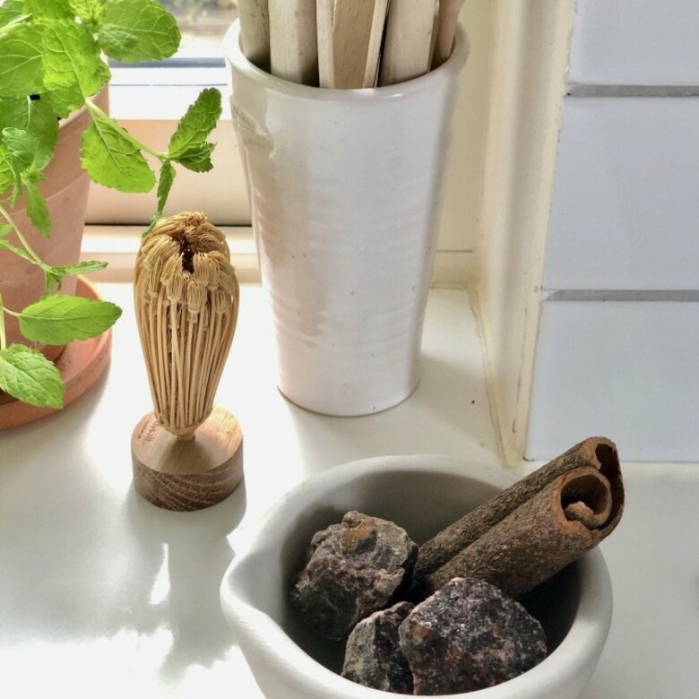 RIVSALT TOOTHPICK - Marockansk tandpetarblomma - 4
