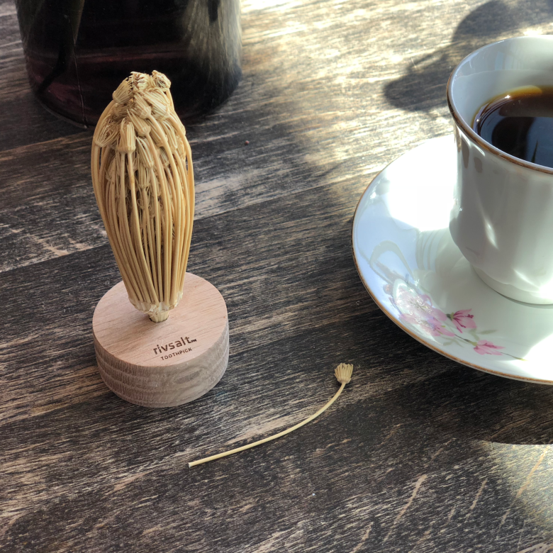 RIVSALT TOOTHPICK - Marockansk tandpetarblomma - 2