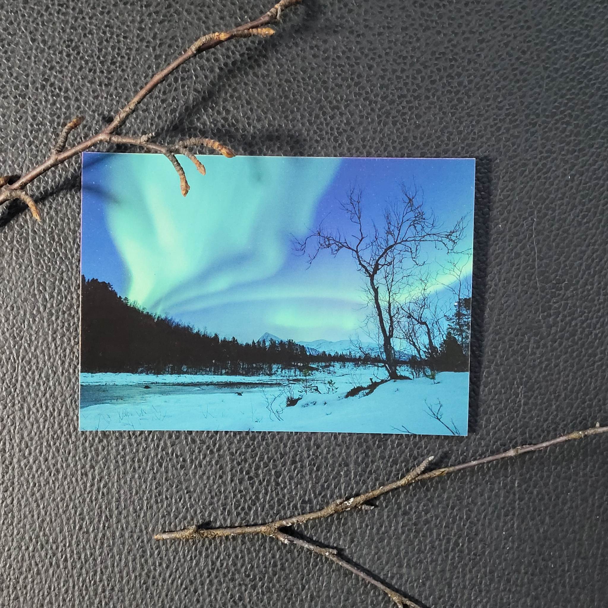 Nordlys - Bjørk II