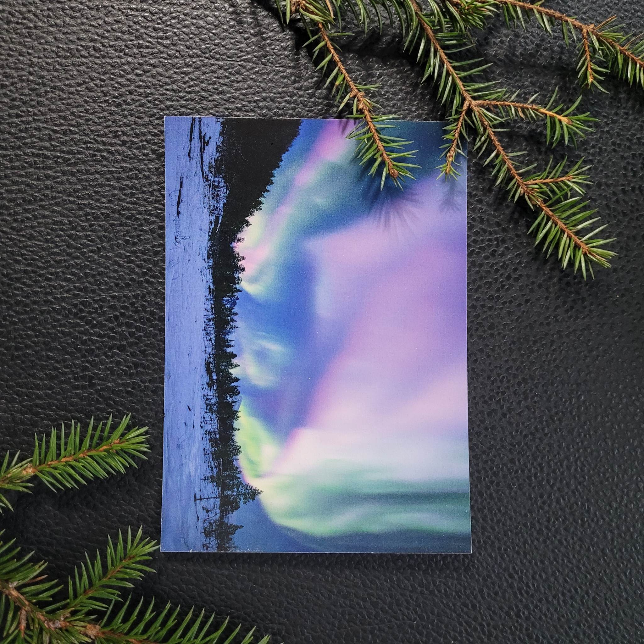 Nordlys - Rosa