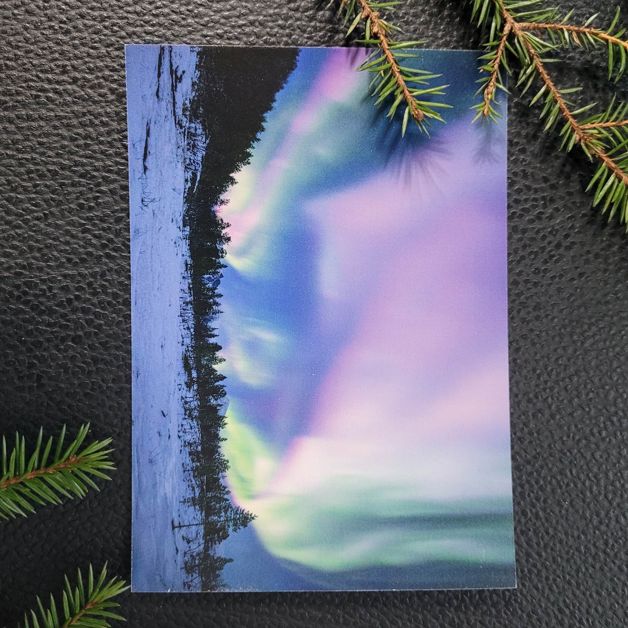 Nordlys - Rosa - 3