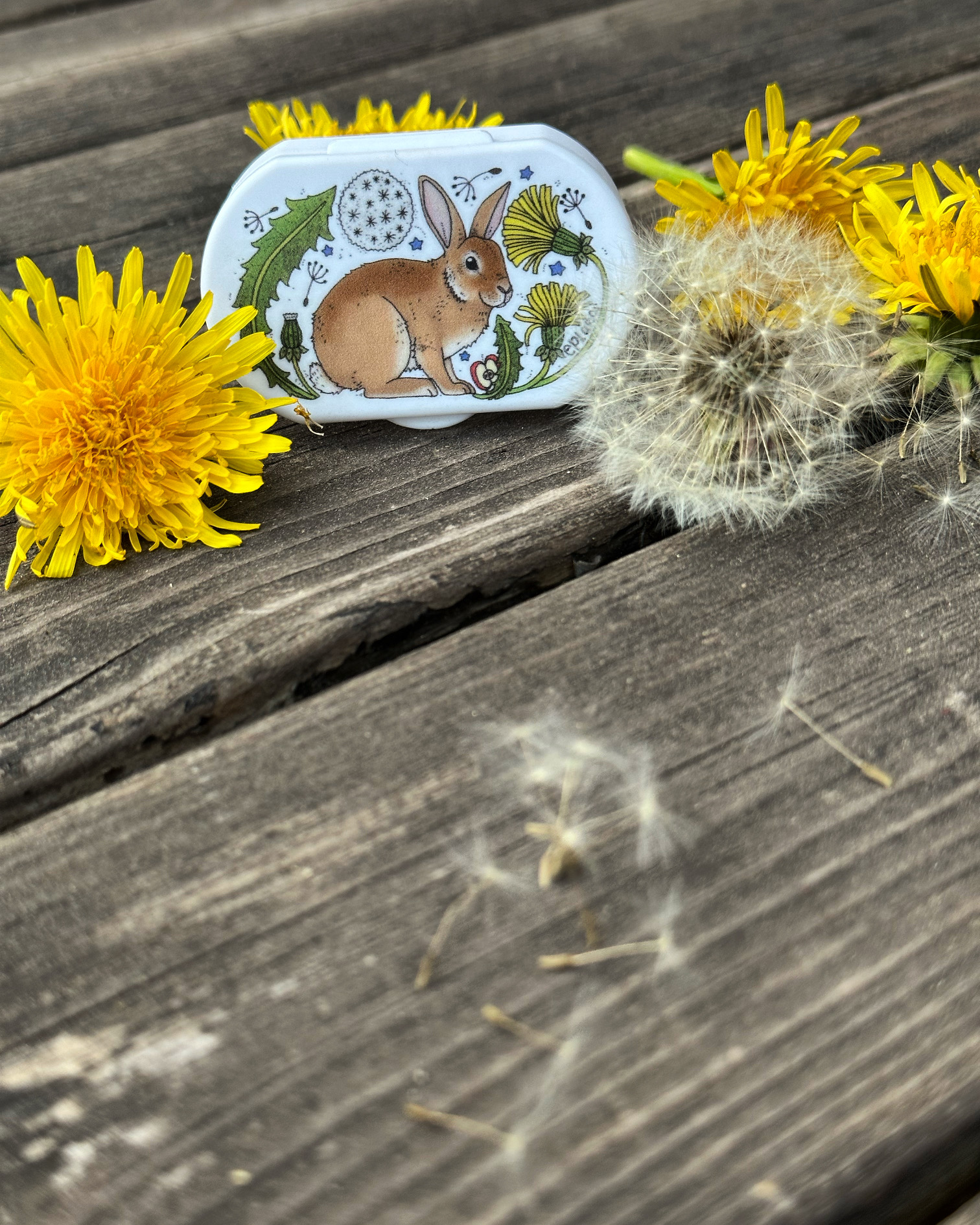 Liten pillerburk - Kaninros - 2