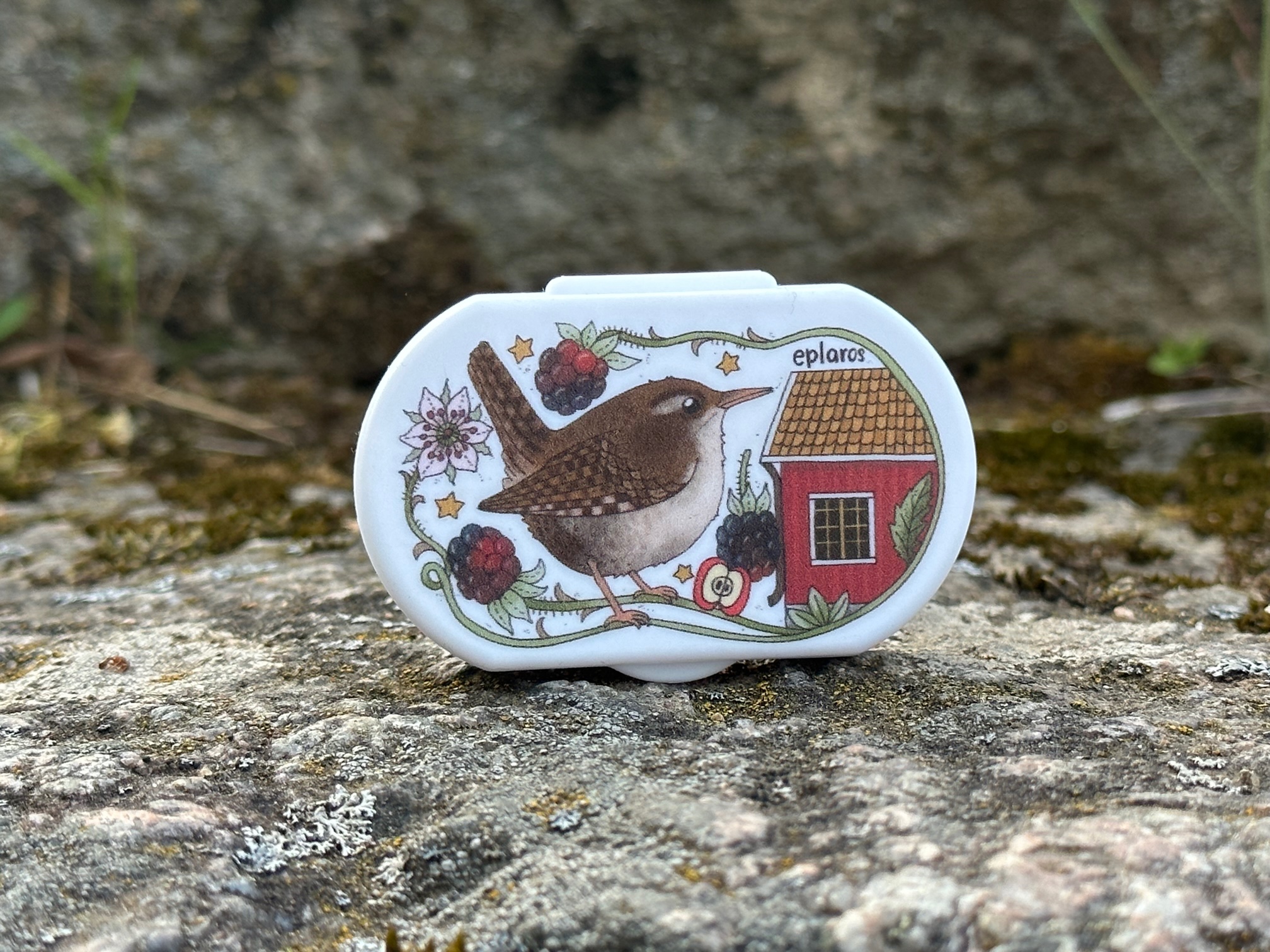 Liten pillerburk - Gärdsmyg - 2