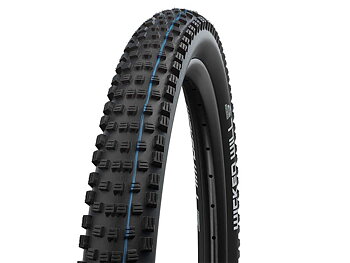 SCHWALBE Wicked Will Folding tire 29 x 2,40 (62-622)