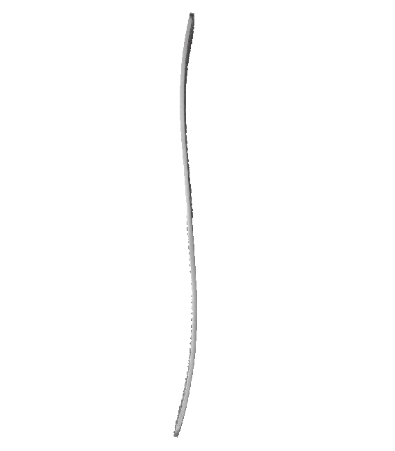 Waldhausen Curved Hoof Rasp - 30 cm 