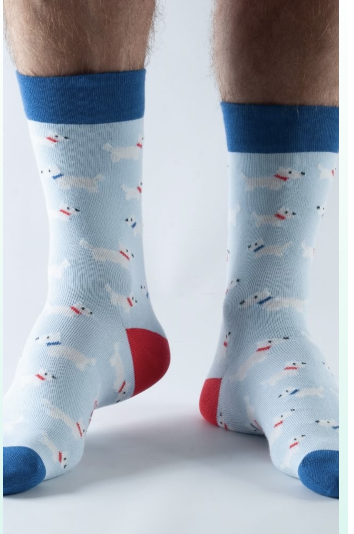 Blue Westie Bambu Socks 