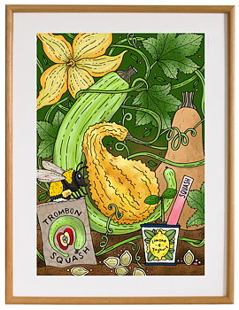 Affisch Tombonsquash, 30x40 cm