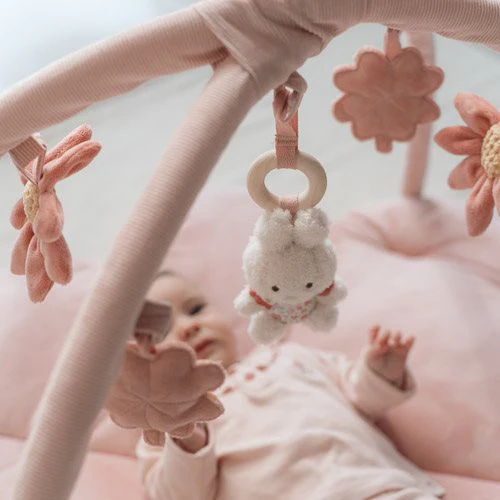 Little Dutch Babygym - 8