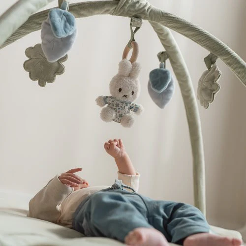 Little Dutch Babygym - 7