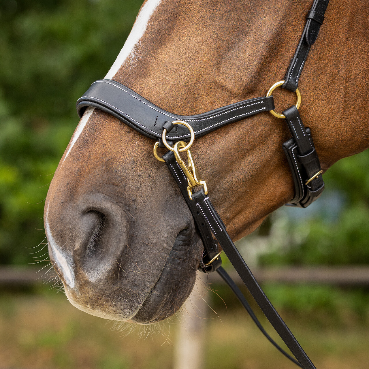 Sidepull / Bitless Bridle QHP Sensitive, anatomiskt, inkl. tyglar, svart - 13