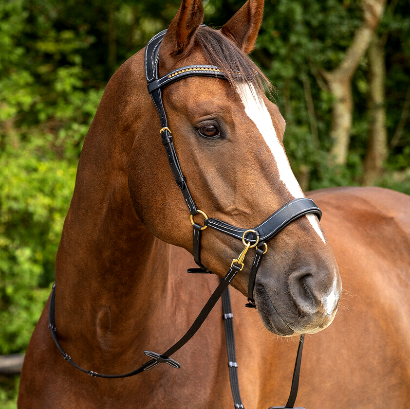 Sidepull / Bitless Bridle QHP Sensitive, anatomiskt, inkl. tyglar, svart