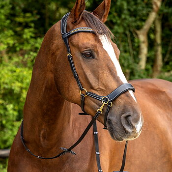 Sidepull / Bitless Bridle QHP Sensitive, anatomiskt, inkl. tyglar, svart