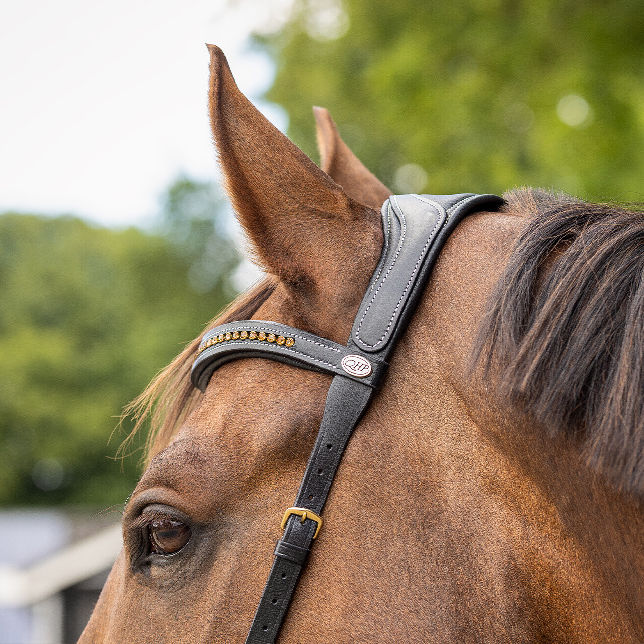 Sidepull / Bitless Bridle QHP Sensitive, anatomiskt, inkl. tyglar, svart - 14