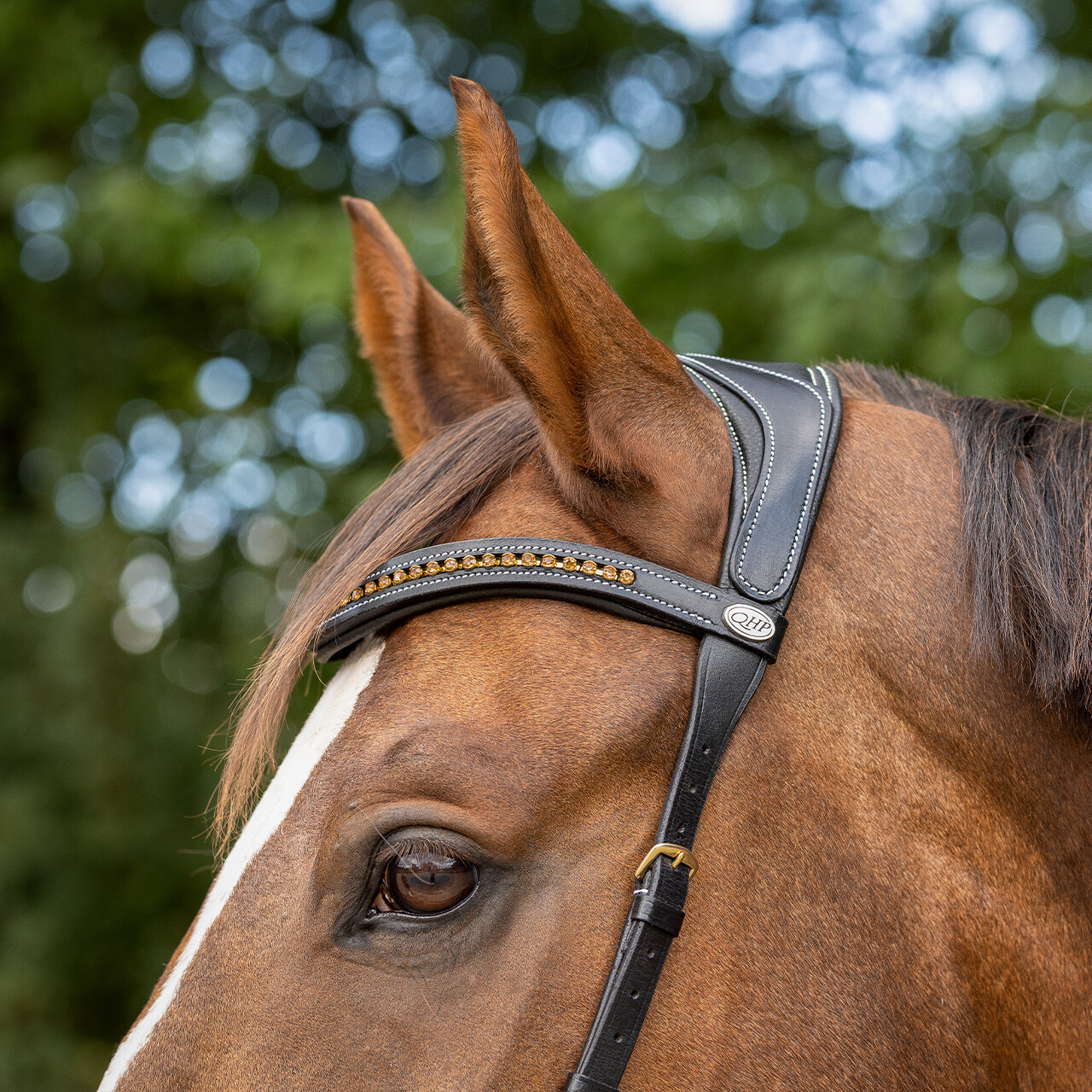 Sidepull / Bitless Bridle QHP Sensitive, anatomiskt, inkl. tyglar, svart - 15