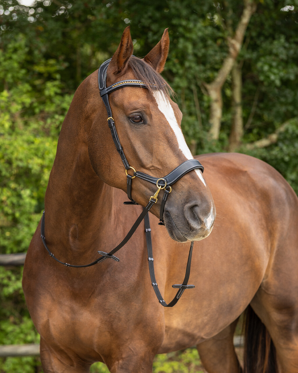 Sidepull / Bitless Bridle QHP Sensitive, anatomiskt, inkl. tyglar, brun - 14