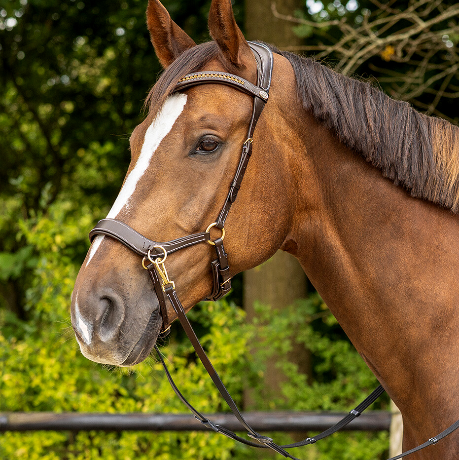 Sidepull / Bitless Bridle QHP Sensitive, anatomiskt, inkl. tyglar, brun