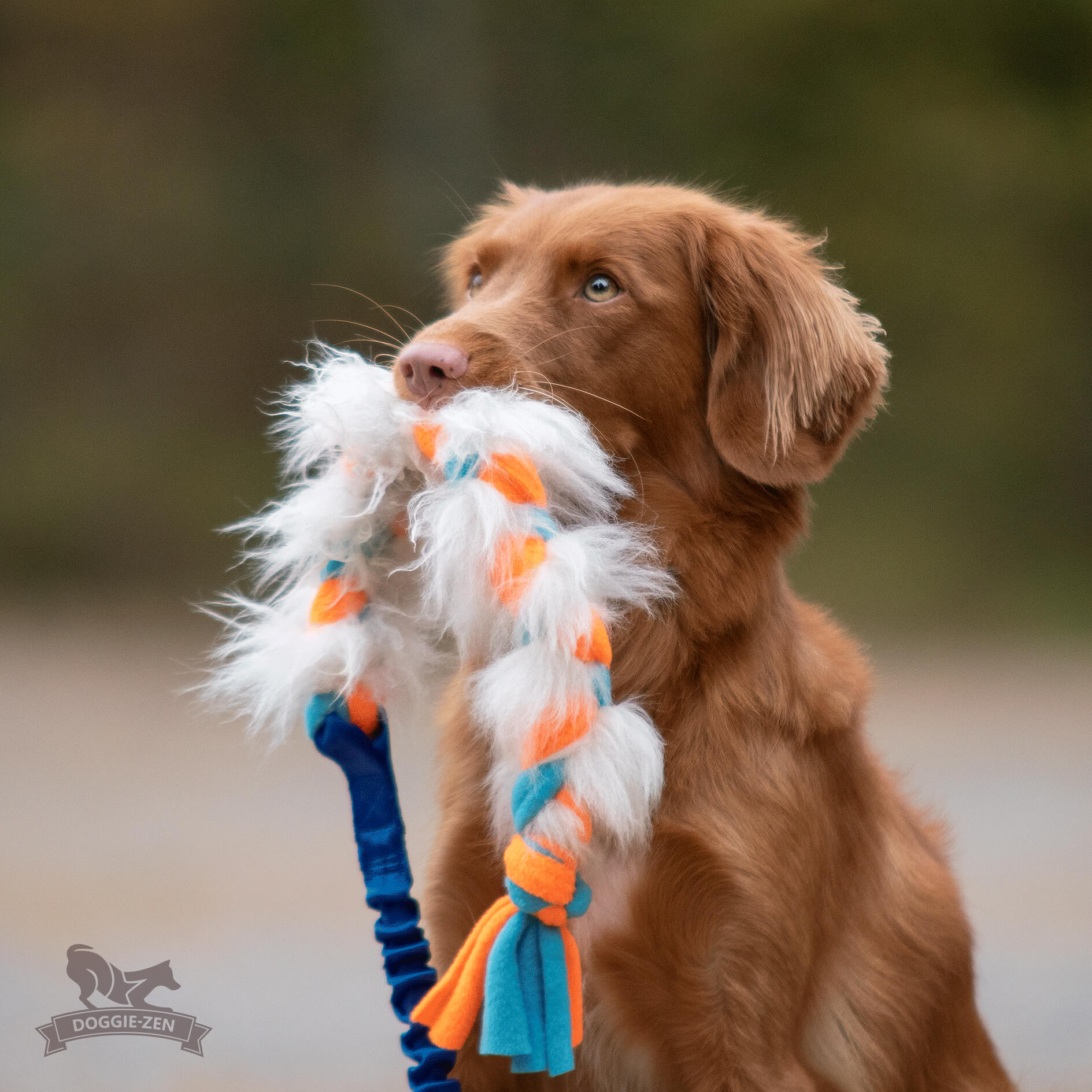 Bungee Fleece 'n Sheepskin Braid M - 6