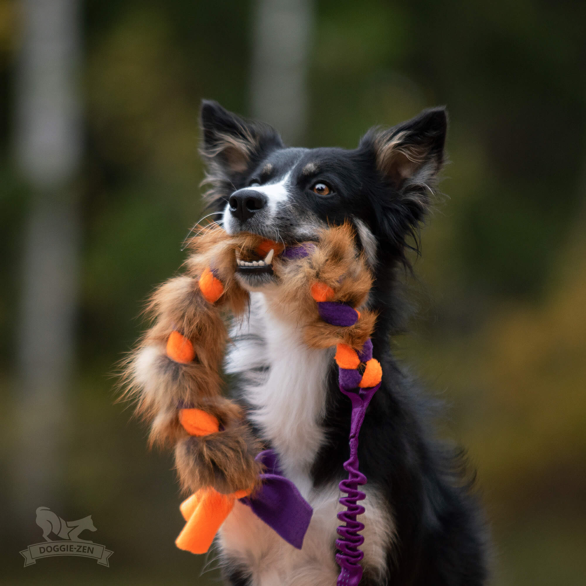 Bungee Fleece 'n Fox Braid M