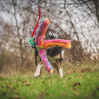 Bungee Hol-ee Octopus Tug L Fake Fur Candy Edition