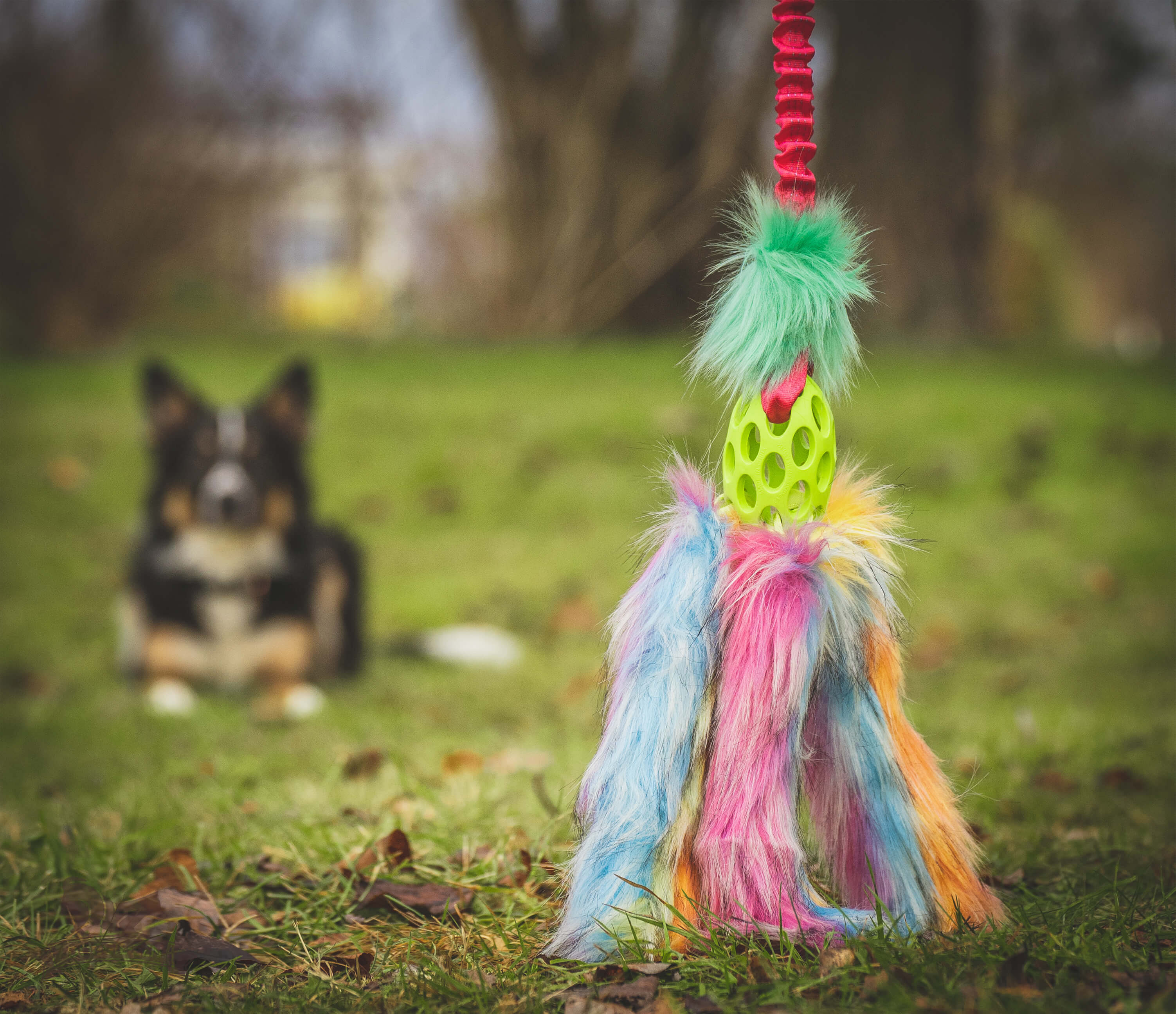 Bungee Hol-ee Octopus Tug L Fake Fur Candy Edition - 4