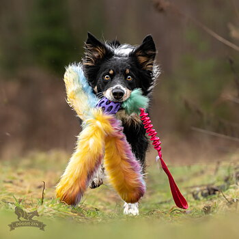 Bungee Hol-ee Octopus Tug L Fake Fur Candy Edition