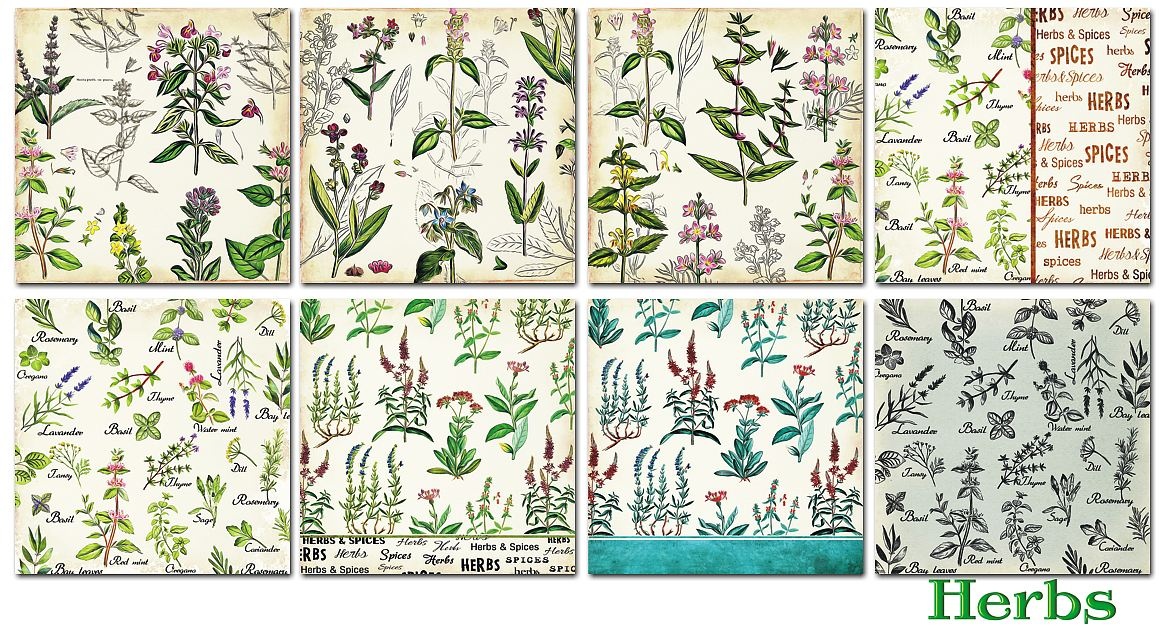 PP 6x6  Decorer -Herbs - 2