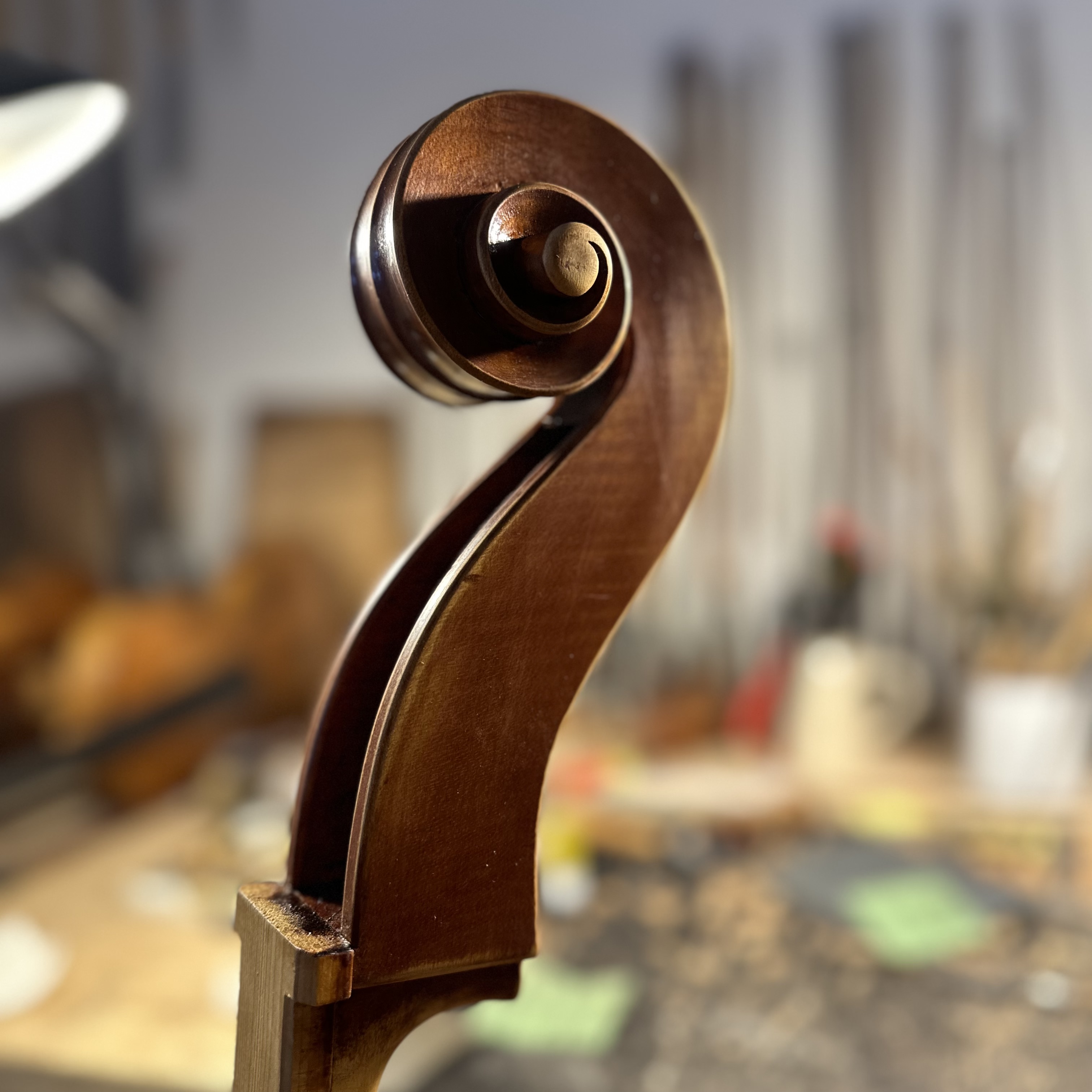 4/4 cello, Joakim Amundin, Stockholm 2012 - 14