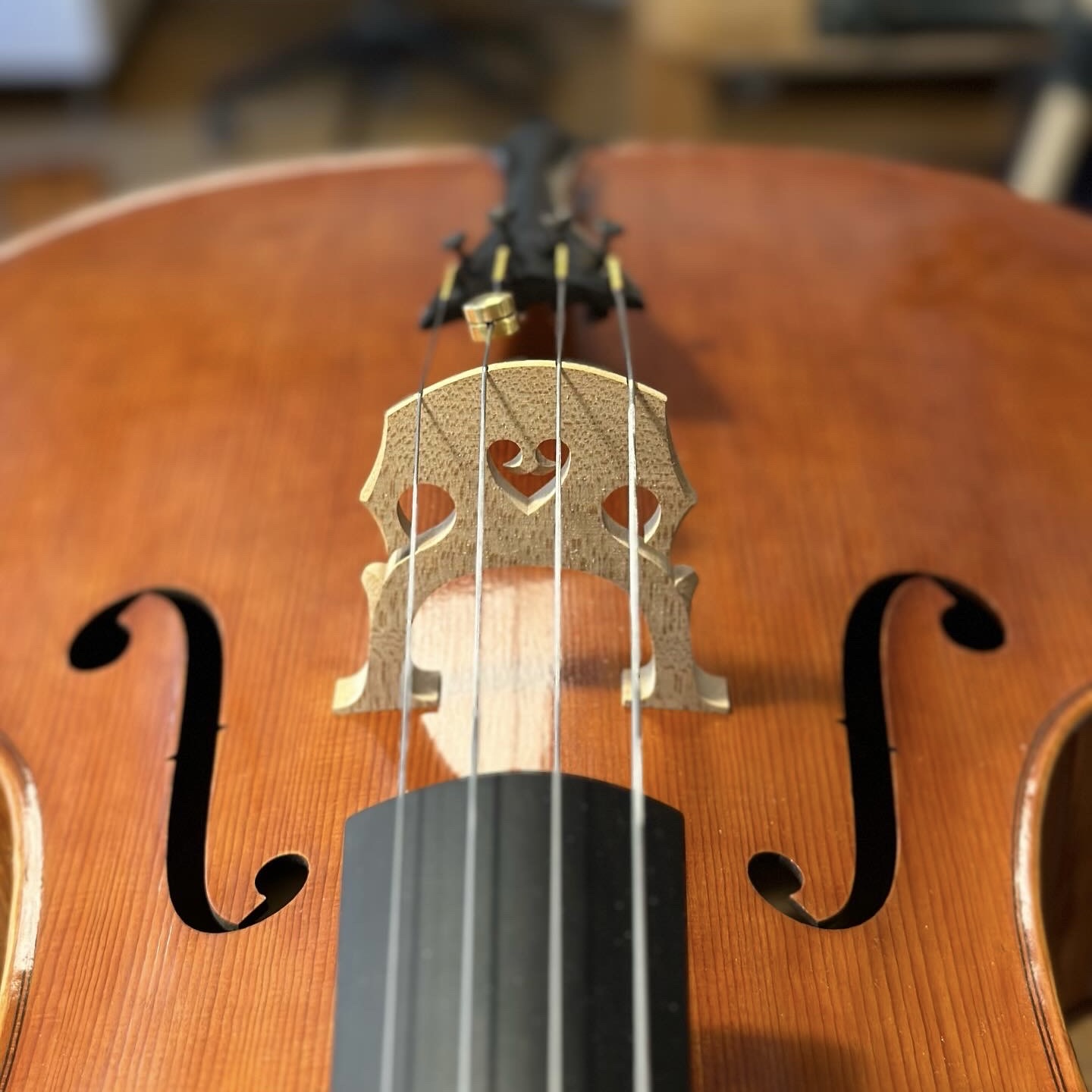 4/4 cello, Joakim Amundin, Stockholm 2012 - 3