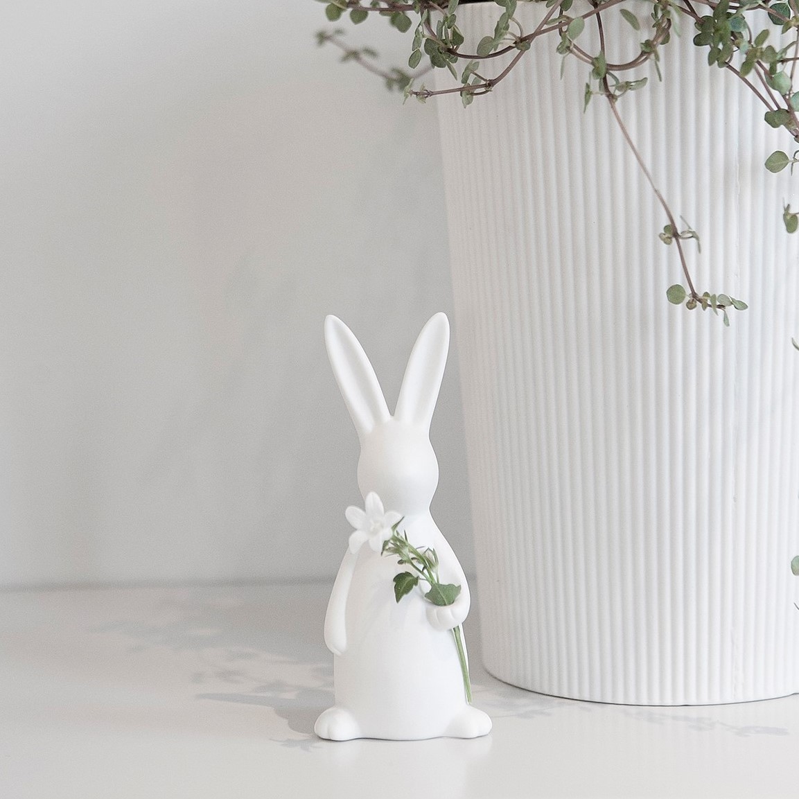 Svea kanin -Liten - 6