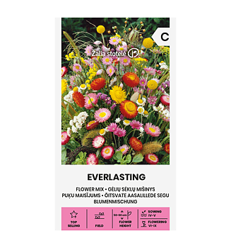 Everlasting Blomsterblandning 