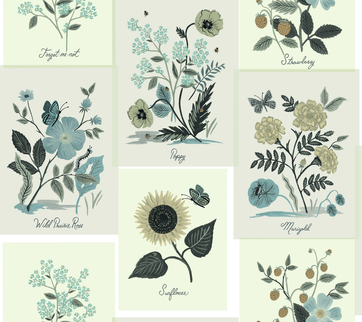 Botanical Prints tapet