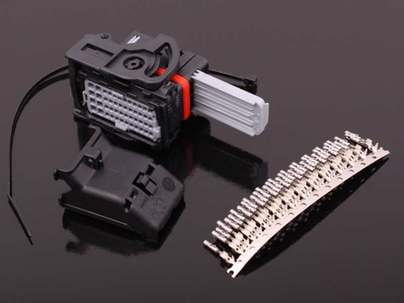 MaxxECU Connector C1 (Molex 48pin)