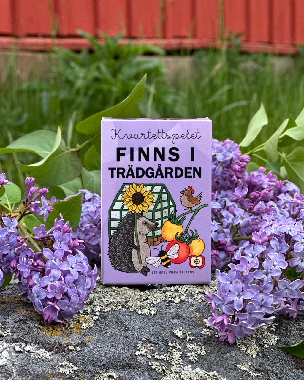Kvartettspelet Finns i trädgården - 6