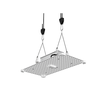 LUMii Black Blade 100W LED