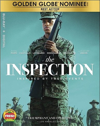 Inspection (BLU-RAY)