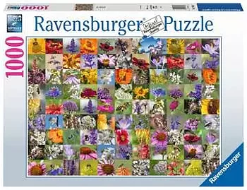 99 Bin 1000 Bitar Ravensburger