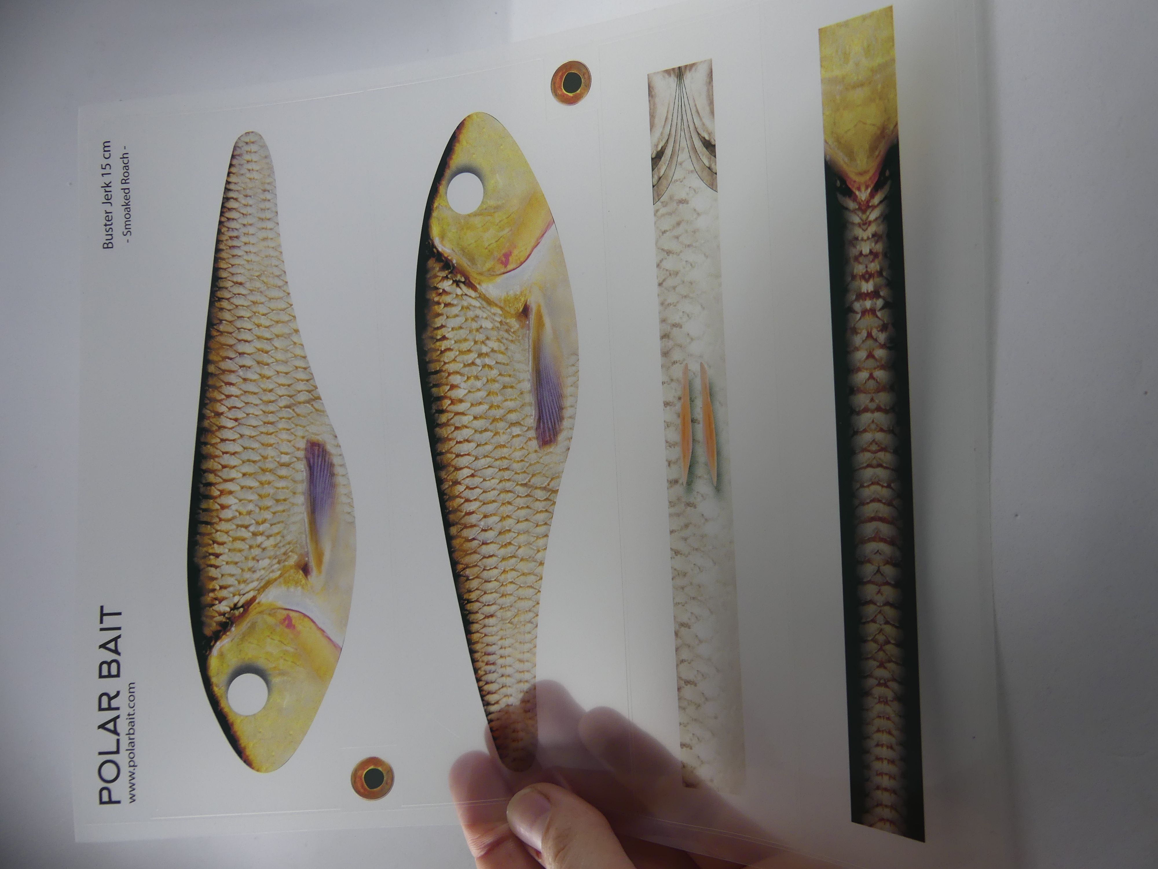 Transparent Jerkbait Sticker - Smoked Roach - 2