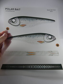 Transparent Jerkbait Sticker - Roach