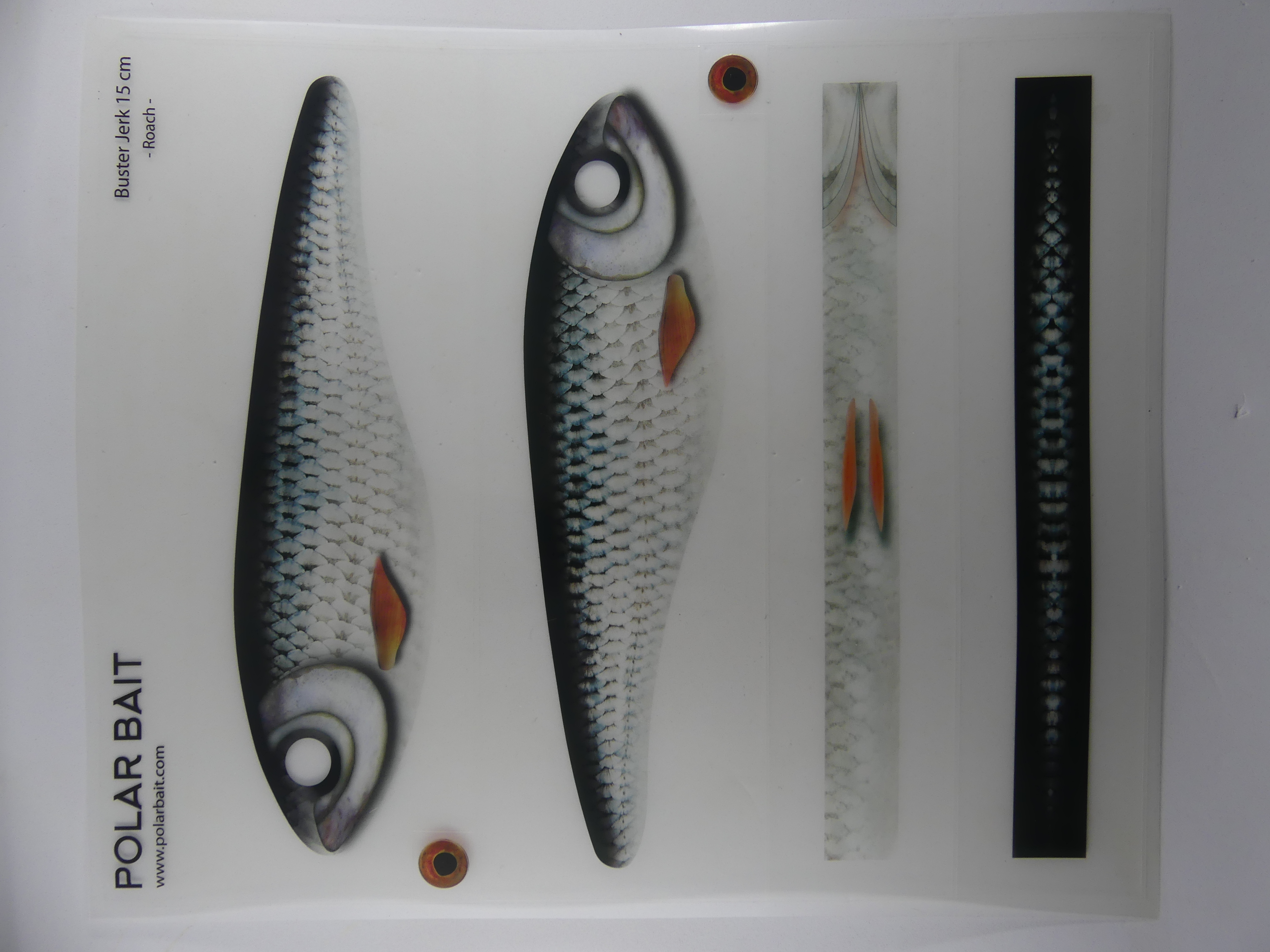 Transparent Jerkbait Sticker - Roach