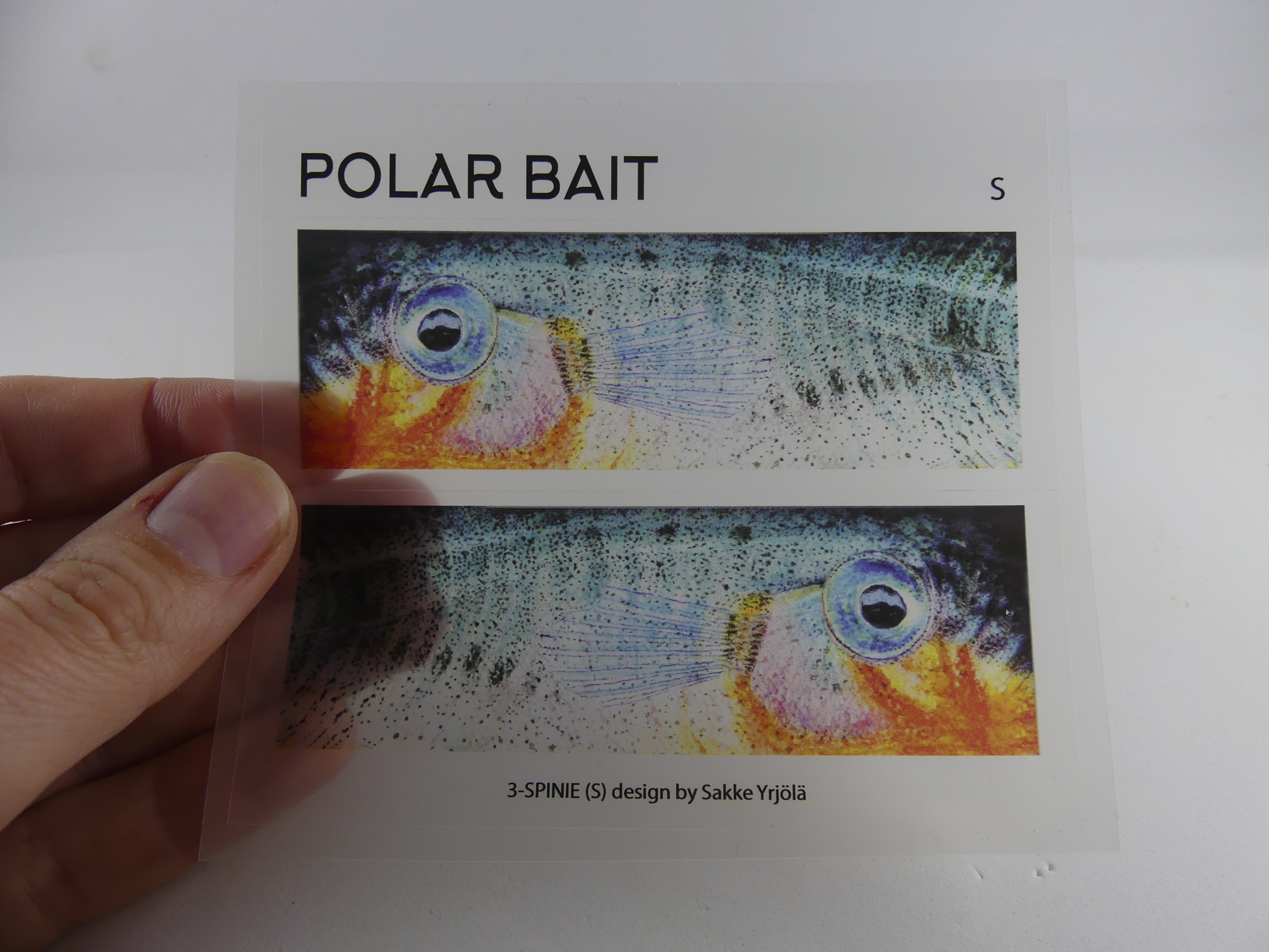 Transparent Sticker - Stekelbaars - 2