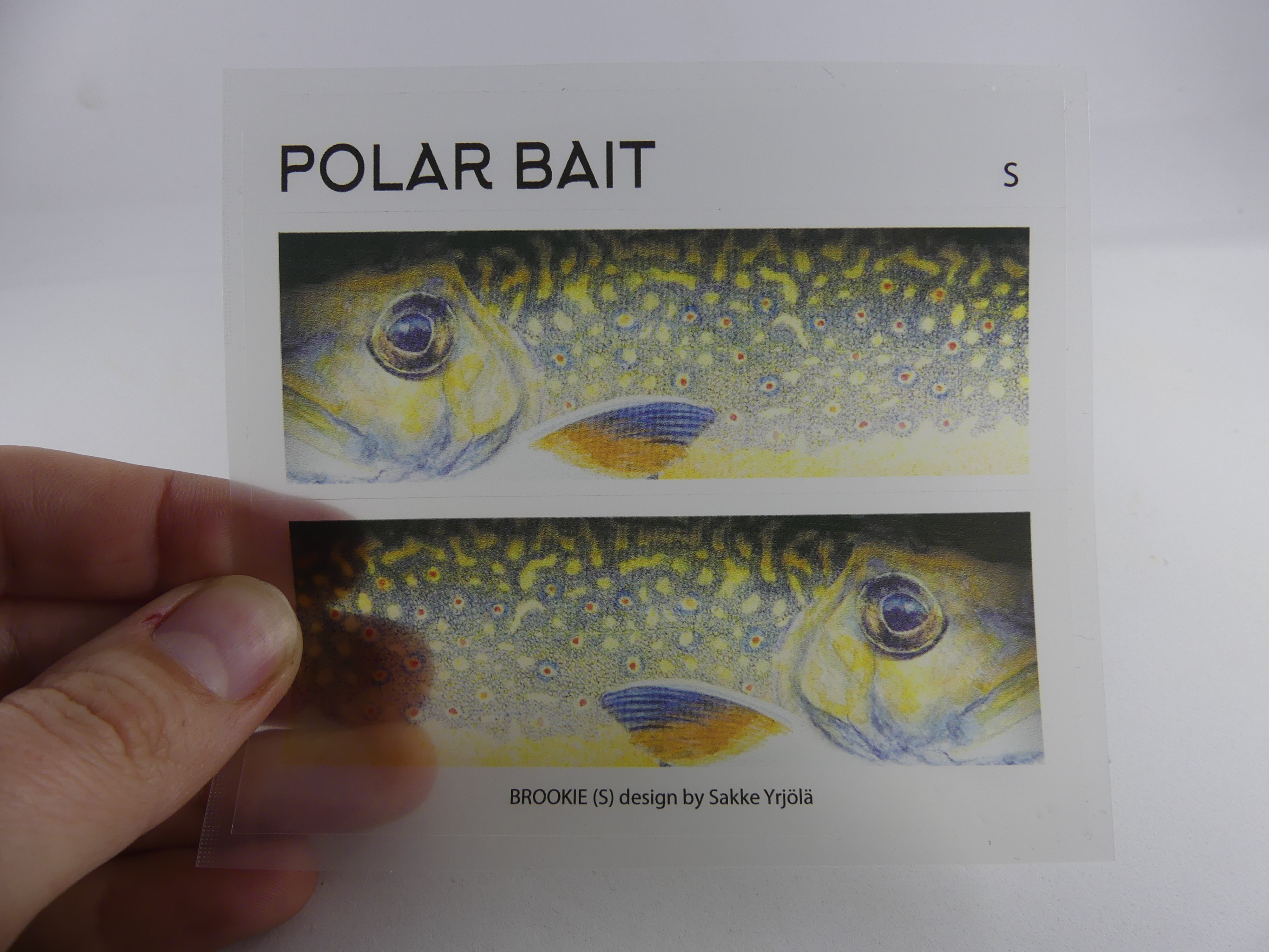 Transparent Sticker - Forel - 2