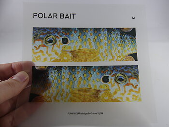 Transparent Sticker - Orangespotted Sunfish