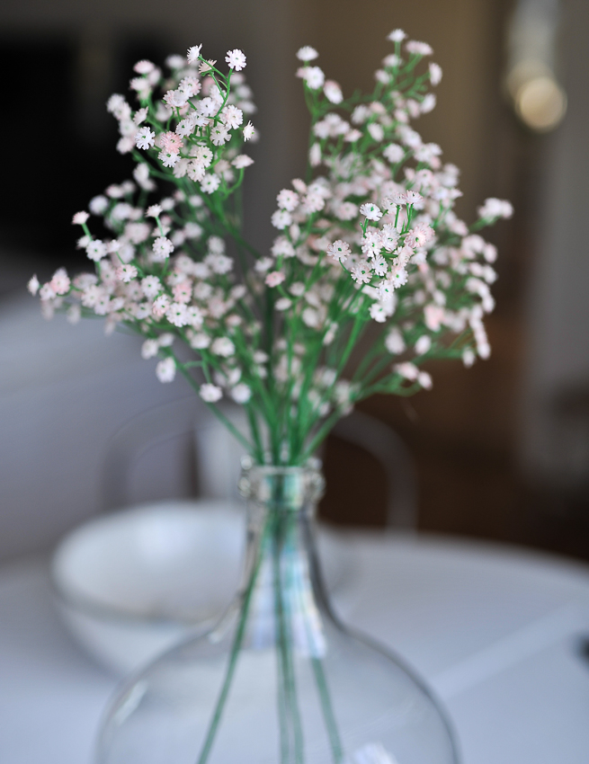 Baby's breath - Sprig - Stem - Pink - 60 cm - 2