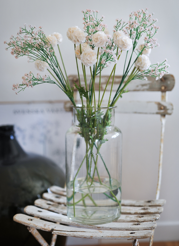 Scabiosa Stem Champagne 60 cm - 6