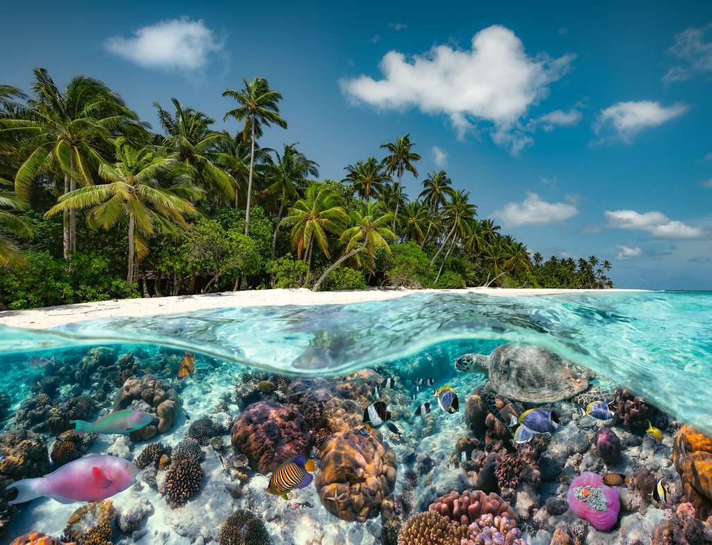 A Dive in the Maldives 2000 Bitar Ravensburger