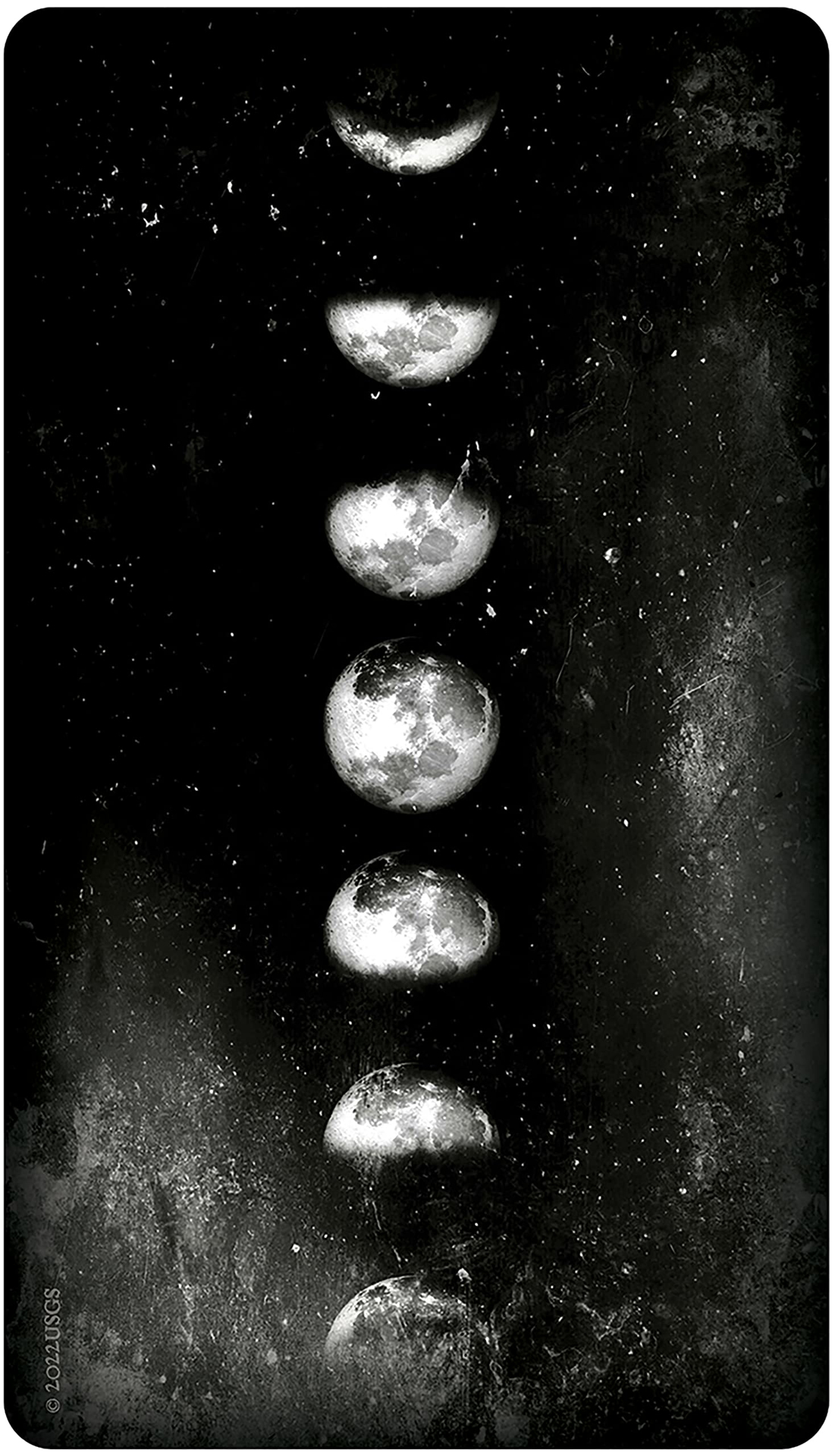 Earthly Souls & Spirits Moon Oracle -  Terri Foss - 2